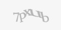 Защитный код