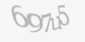 Защитный код