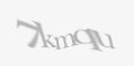 Защитный код