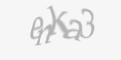 Защитный код