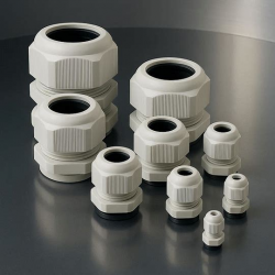 изображение_2026-02-06_220953833