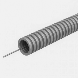 изображение_2026-03-26_191559346